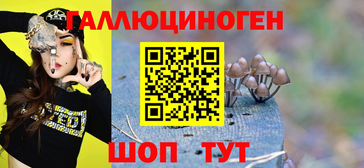 Псилоцибиновые грибы MAGIC MUSHROOMS Пятигорск